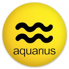 HappyBalls Aquarius Birth Sign Car Antenna Ball  Auto Dashboard Accessory (Zodiac) 